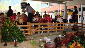 Paradura Fadula 2