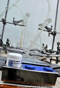 En materia social, se brindará un aporte importante junto con el Laboratorio de Investigaciones Parasitológicas “José Witremundo Torrealba” del Núcleo Universitario Rafael Rangel de Trujillo. (Foto: Ramón Pico)