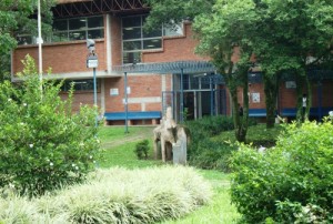 La Universidad venezolana es considerada como la institución intelectual de nuestra Patria ya que ha sido semillero en la producción del conocimiento. (fotografía: María Virginia Vivas Salinas)