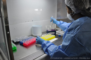 La persona infectada por el virus AH1N1, que presente, dificultad respiratoria, fatiga, fiebre y tos persistente debe acudir al médico más cercano en las primeras 48 horas