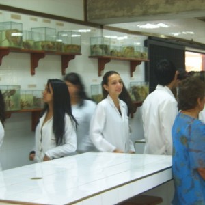 Los estudiantes de Medicina (año 2010) en espacios del Museo de Anatomía Patológica, en su inauguración de entonces (foto: A. González).