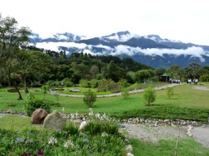 Jardin Botánico ULA ok ok
